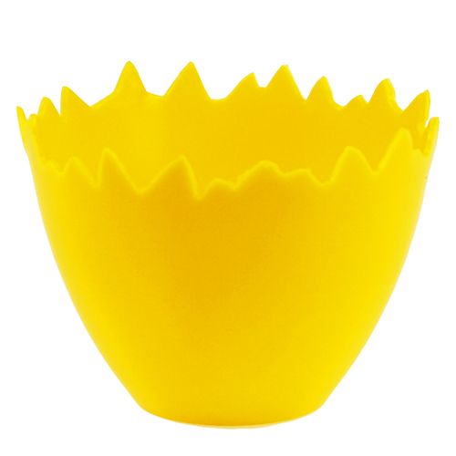 Floristik24 Portauovo Ø17cm 20pz Giallo