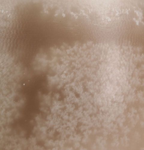 Floristik24 Candela decorativa a forma di uovo Sahara 14cm