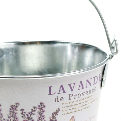 Floristik24 Secchio per piante lavanda Ø17cm H16cm