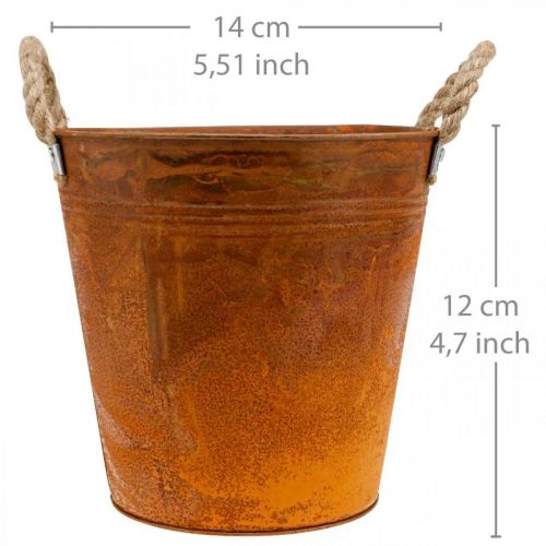 Floristik24 Portavasi, decorazione autunnale, vaso in metallo con patina Ø14cm H12cm
