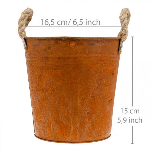 Prodotto Vaso in metallo con manici, vaso per erbe aromatiche, decoro ruggine Ø16,5cm H15cm