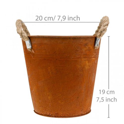Floristik24 Vaso decorativo con manici, decorazione autunnale, ciotola in metallo patina Ø20cm H19cm