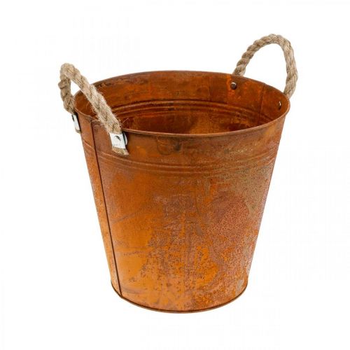 Floristik24 Fioriera con manici, vaso per piante, vaso in metallo con decoro ruggine Ø25cm H24cm