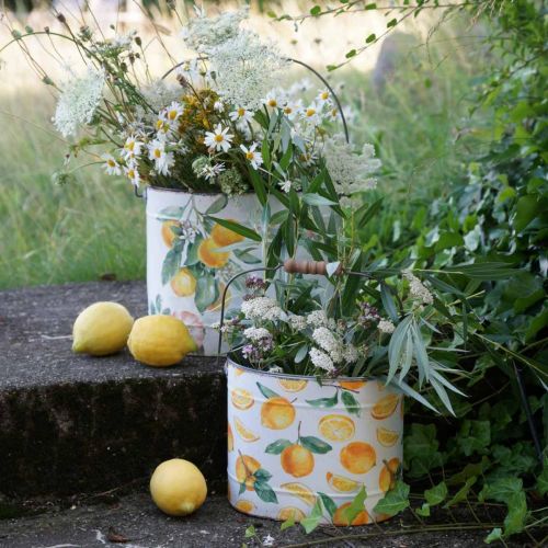 Prodotto Vaso in metallo verde-giallo, decoro estivo, secchiello con manico, motivo limone mediterraneo L28/22,5/cm H23/18/15 cm