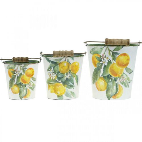Floristik24 Secchiello decorativo limoni vaso mediterraneo Ø13,5/11/9cm H14/11,5/cm set di 3