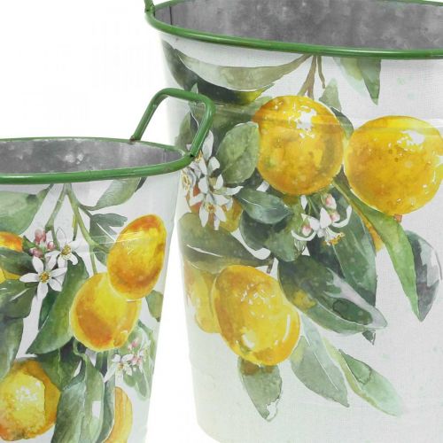 Floristik24 Vaso mediterraneo in latta, fioriera con motivo limone bianco, verde, giallo H43,5/34 cm L36,5/27,5 cm set di 2