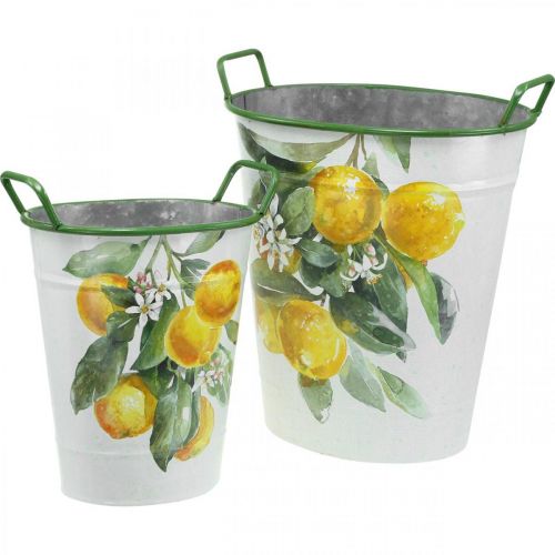 Floristik24 Vaso mediterraneo in latta, fioriera con motivo limone bianco, verde, giallo H43,5/34 cm L36,5/27,5 cm set di 2