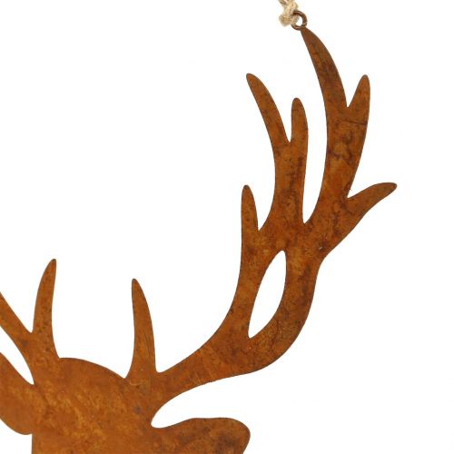 Floristik24 Griglia con testa di alce da appendere 23,5 cm x 22 cm