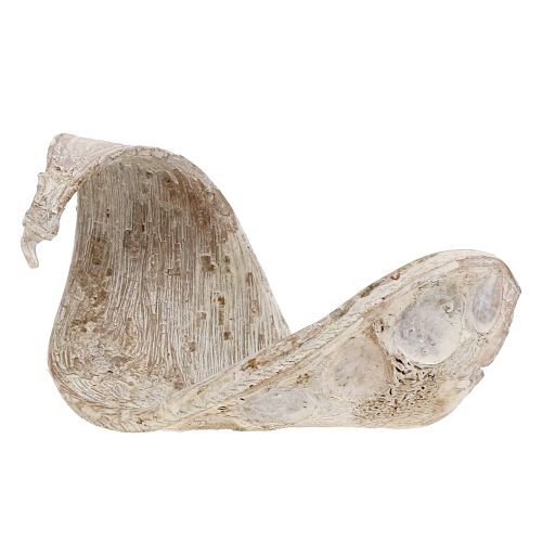 Prodotto Orecchio di elefante bianco lavato 25 pz