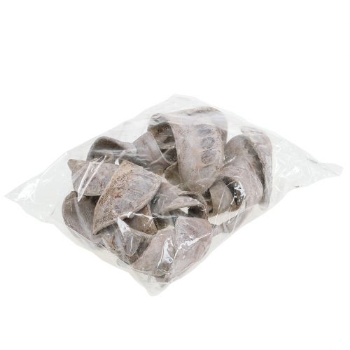 Prodotto Orecchio di elefante bianco lavato 25 pz