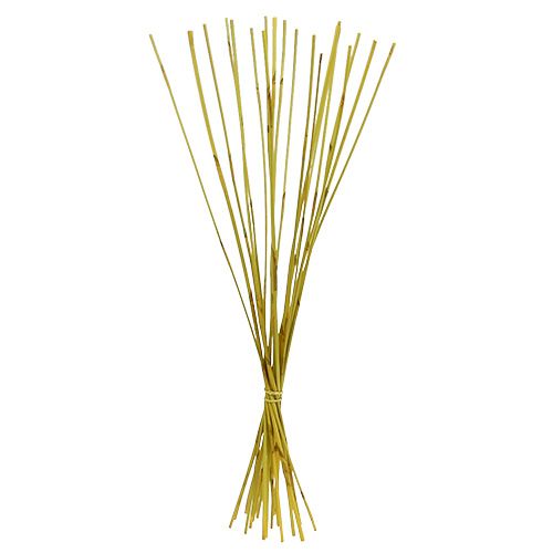 Floristik24 Bastoncini decorativi, Canna di elefante Giallo 20 pz