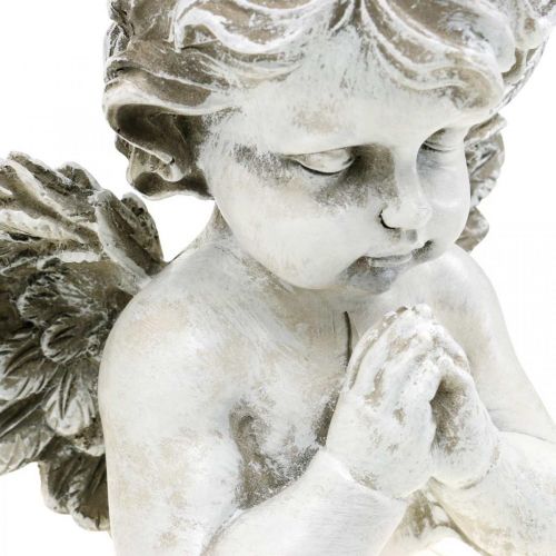 Floristik24 Angelo in preghiera, floristica funeraria, busto di figura di angelo, decorazione tombale H19cm L19,5cm