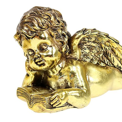 Floristik24 Angelo con libro sdraiato oro 11-13 cm 4 pz