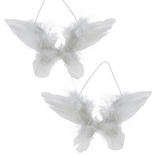 Floristik24 Ala d'angelo per appendere bianco 16cm 4 pezzi