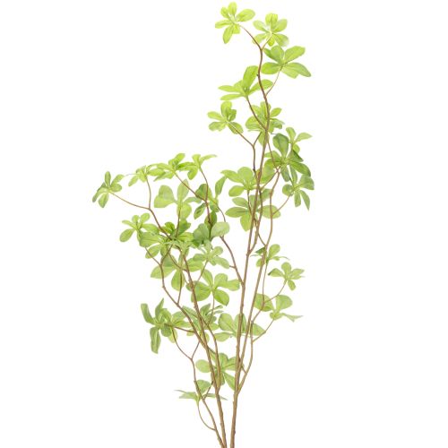 Prodotto Ramo artificiale di Schefflera, elegante decorazione vegetale per spazi abitativi, 95 cm