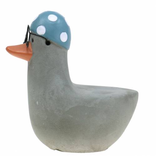 Floristik24 Anatra decorativa con occhiali e cuffia grigia 10,5 cm 4 pezzi