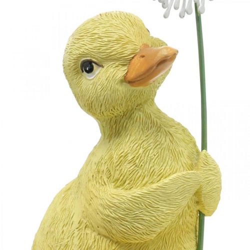 Floristik24 Decorazione primaverile, anatroccoli con dente di leone, figura decorativa H13,5cm