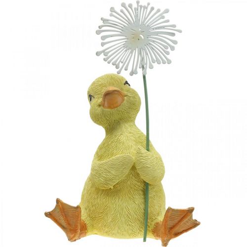 Floristik24 Decorazione primaverile, anatroccoli con dente di leone, figura decorativa H13,5cm