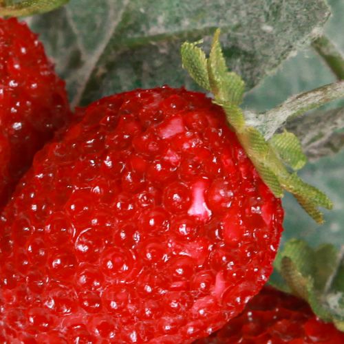 Prodotto Decorazione di fragole Fragole artificiali L23cm 1 mazzo 6 pezzi