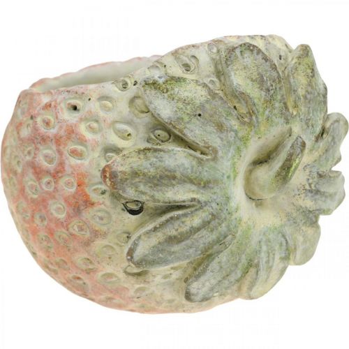 Prodotto Fragola decorativa, vaso per piante, decorazione in cemento per piantare L17cm