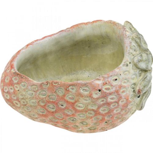 Prodotto Fragola decorativa, vaso per piante, decorazione in cemento per piantare L17cm