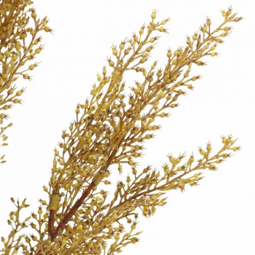 Floristik24 Ramo decorativo di erica, giallo erica, marrone H50cm