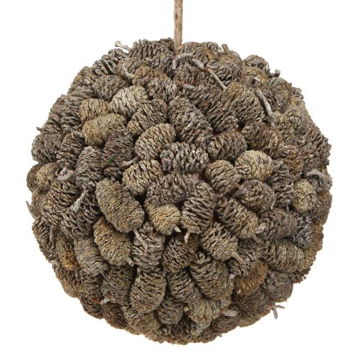Palla decorativa di pigne di ontano da appendere, sbiancata, 20 cm
