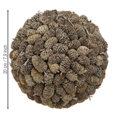 Prodotto Palla decorativa di pigne di ontano da appendere, sbiancata, 20 cm