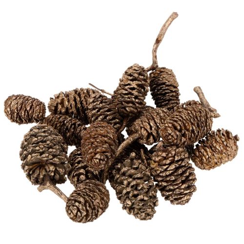 Pigne di ontano, prodotto naturale per decorazione e artigianato, colore oro, 3 cm, 300 g