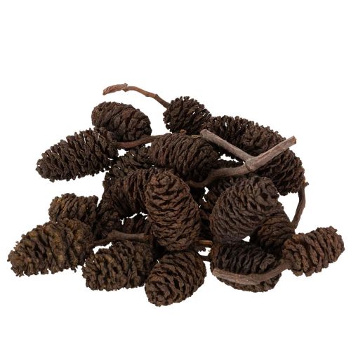 Pigne di ontano naturali, sfuse, decorative, 3 cm, 300 g, marrone naturale.