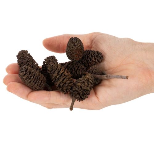 Pigne di ontano naturali, sfuse, decorative, 3 cm, 300 g, marrone naturale. | Floristik24.it