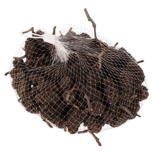 Pigne di ontano naturali,