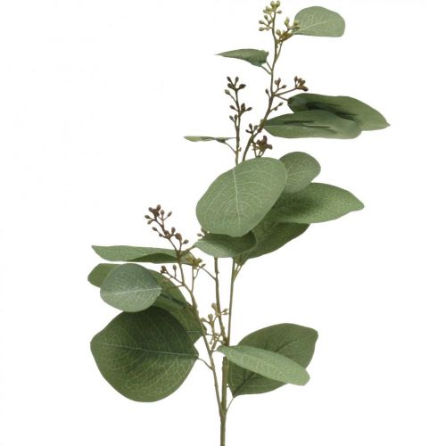 Floristik24 Ramo di eucalipto artificiale con boccioli di piante artificiali 60cm