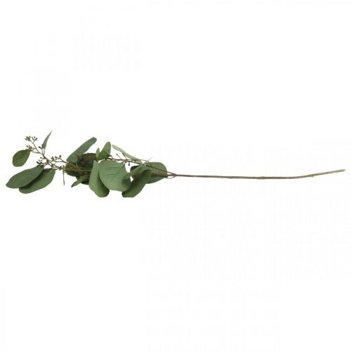 Floristik24 Ramo di eucalipto artificiale con boccioli di piante artificiali 60cm