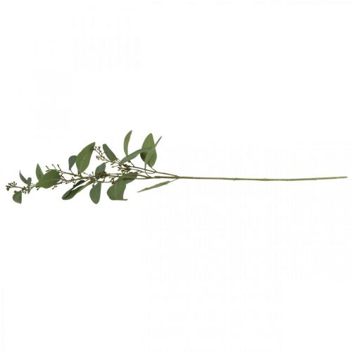 Floristik24 Ramo di eucalipto artificiale con boccioli ramo decorativo 60cm