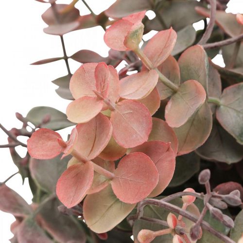 Floristik24 Cespuglio di eucalipto Eucalipto artificiale rosso verde 25 cm 3 pezzi