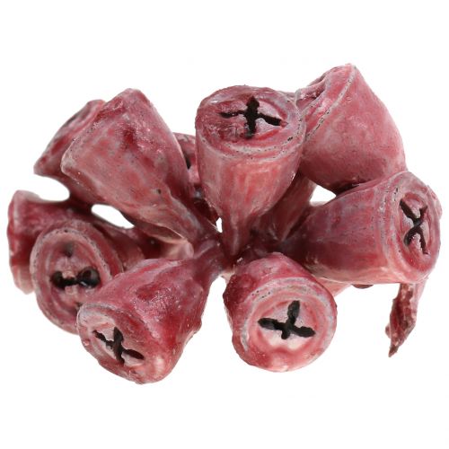 Frutta eucalipto cerato rosso 250g
