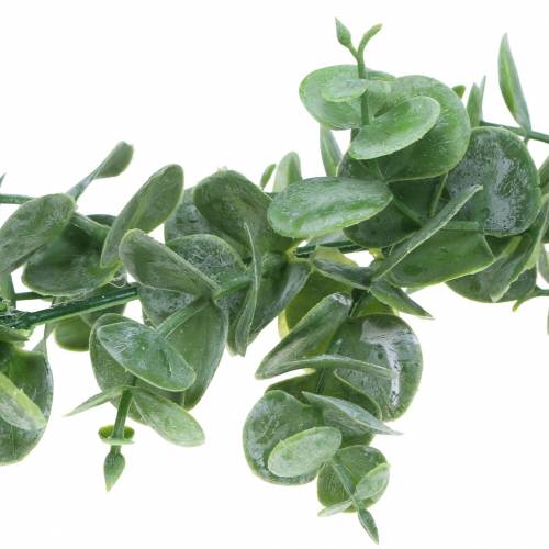 Prodotto Ghirlanda di eucalipto verde 180 cm