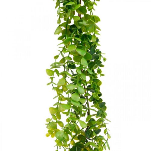 Floristik24 Decorazione di nozze ghirlanda di eucalipto artificiale verde 122 cm