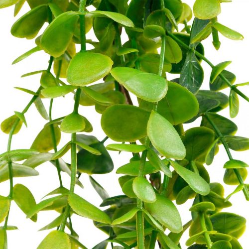 Floristik24 Decorazione di nozze ghirlanda di eucalipto artificiale verde 122 cm