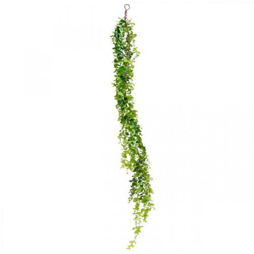 Floristik24 Decorazione di nozze ghirlanda di eucalipto artificiale verde 122 cm