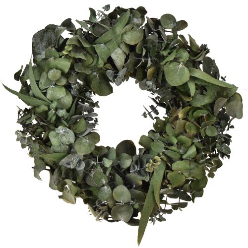 Prodotto Corona di eucalipto corona naturale eucalipto conservato Ø35cm