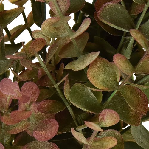 Prodotto Corona di eucalipto artificiale, decorazione autunnale, eucalipto Ø36cm