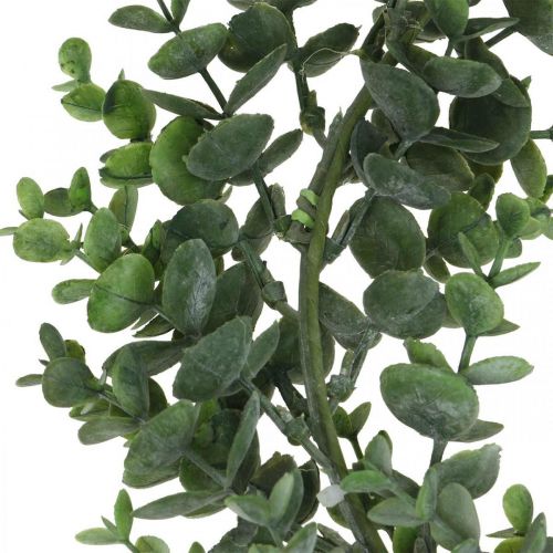 Floristik24 Ghirlanda decorativa verde eucalipto Ghirlanda di eucalipto artificiale Ø32cm