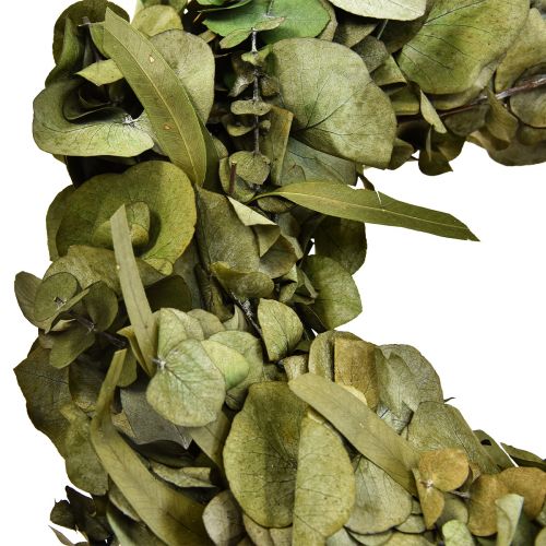 Floristik24 Corona di eucalipto corona naturale eucalipto conservato Ø35cm