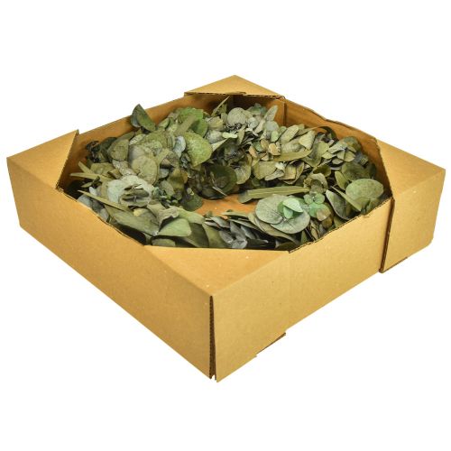 Floristik24 Corona di eucalipto corona naturale eucalipto conservato Ø35cm