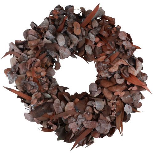 Floristik24 Corona di eucalipto corona naturale eucalipto conservato rosso Ø33cm