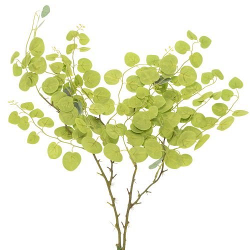 Prodotto Ramo decorativo di eucalipto, ideale come decorazione da tavola, 120 cm