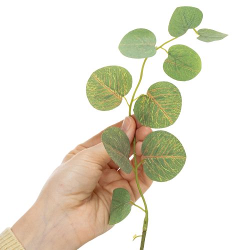 Prodotto Ramo decorativo di eucalipto, ideale come decorazione da tavola, 120 cm