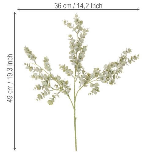 Ramo artificiale di eucalipto, ramo decorativo per vasi e bouquet, 49 cm, 4 pezzi | Floristik24.it